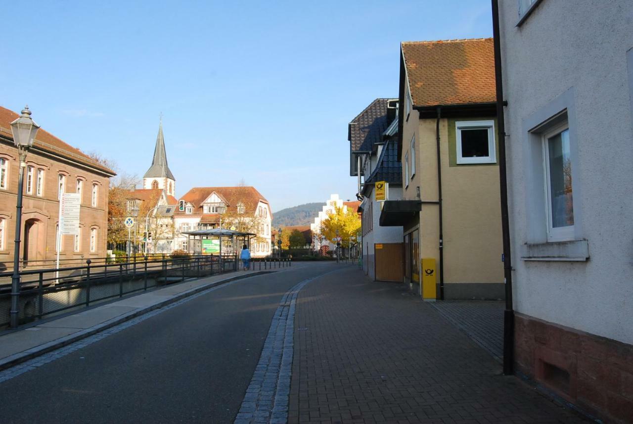 Hildastrasse 1 Appart.2 Фризенхайм Экстерьер фото